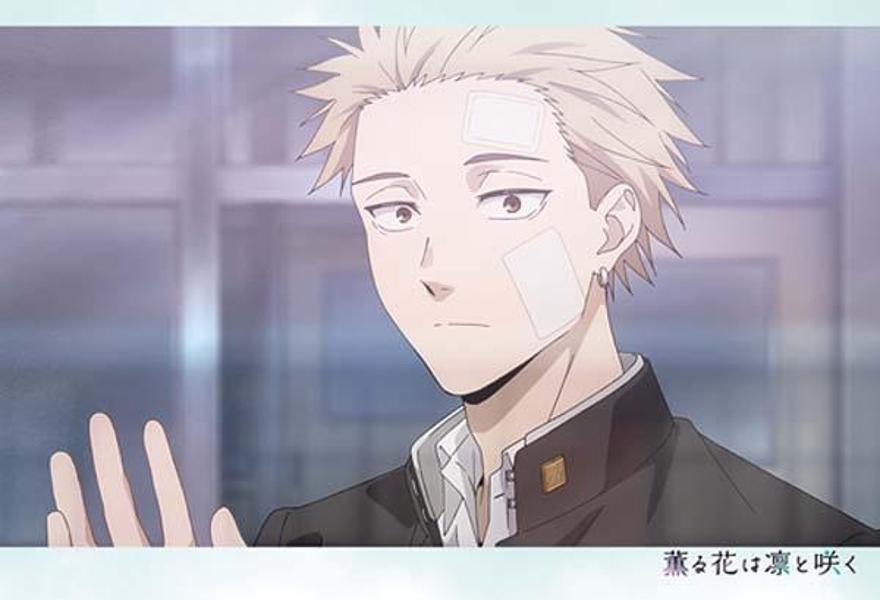 TV���˥ᷰ��֤��ۤȺ餯�ݥ��ȥ����ɥ֥å���KC�ǥ�å�����[���ḫ����]