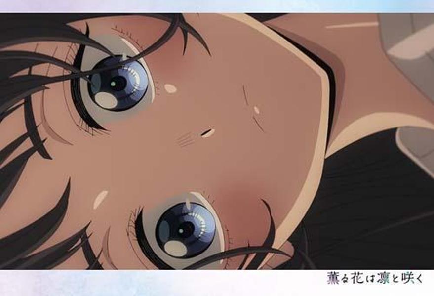 TV���˥ᷰ��֤��ۤȺ餯�ݥ��ȥ����ɥ֥å���KC�ǥ�å�����[���ḫ����]