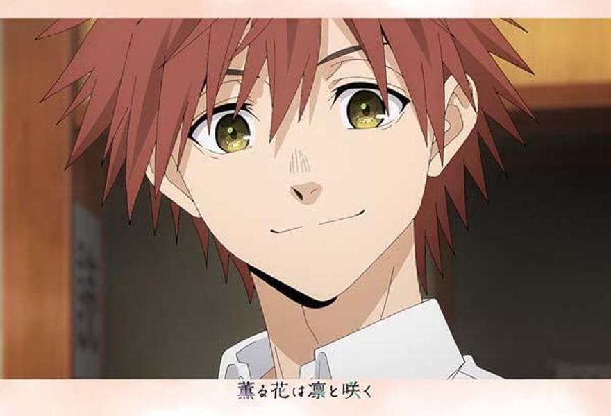 TV���˥ᷰ��֤��ۤȺ餯�ݥ��ȥ����ɥ֥å���KC�ǥ�å�����[���ḫ����]