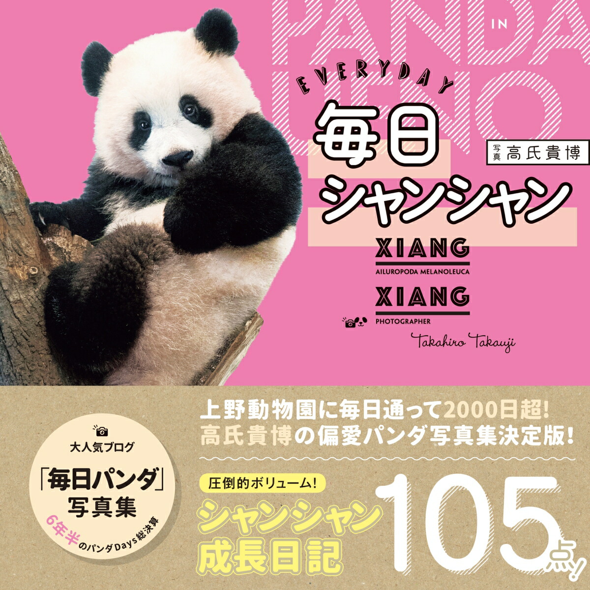 上野動物園 シャンシャン 非売品 ポストカード キーホルダー バッジ 