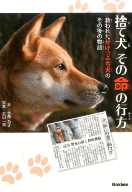 楽天ブックス 捨て犬その命の行方 救われたがけっぷち犬のその後の物語 今西乃子 本