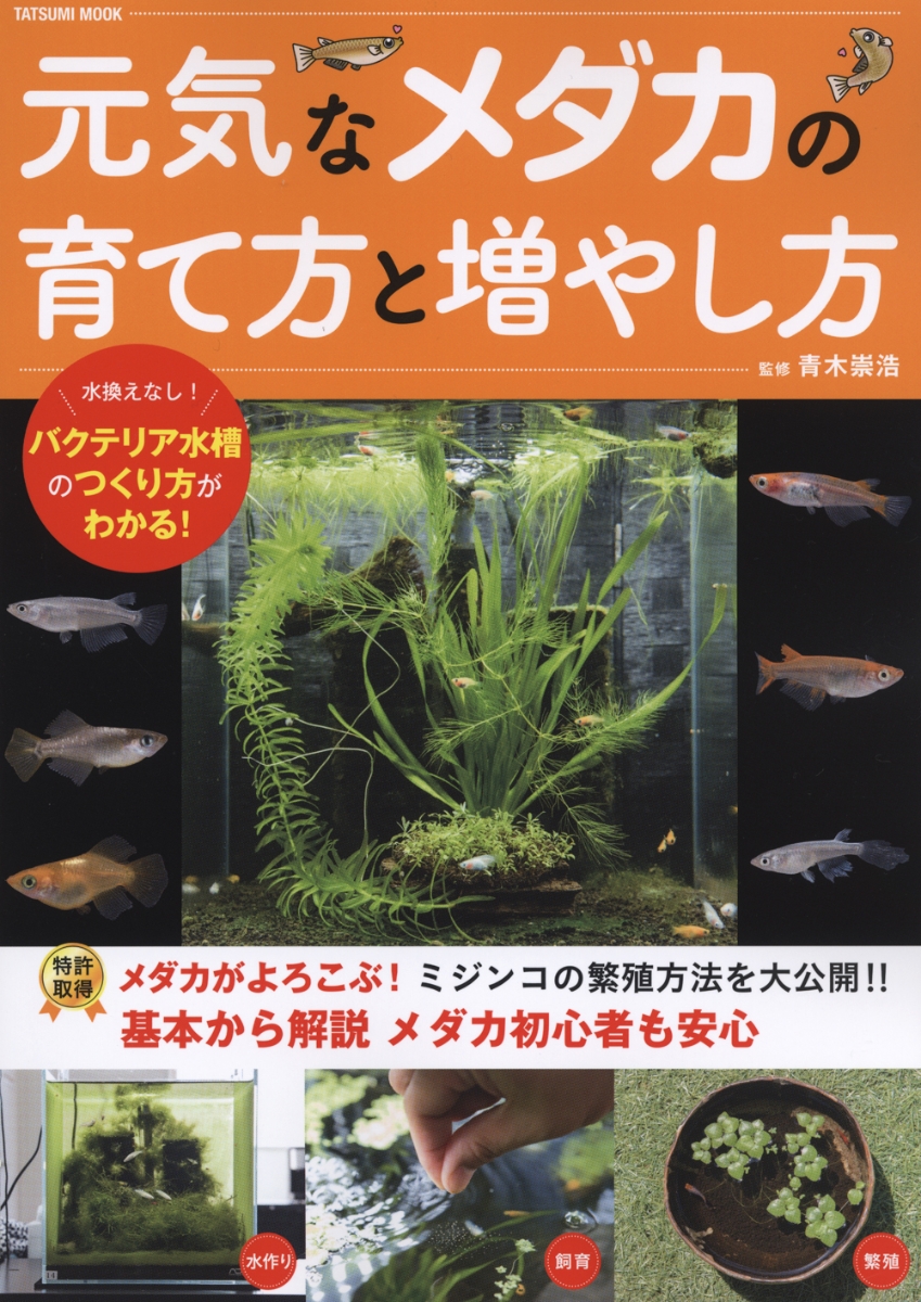 楽天ブックス 元気なメダカの育て方と増やし方 青木崇浩 本