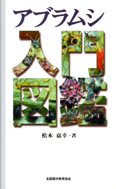 ���֥�ॷ����޴�[���ܲŹ�]