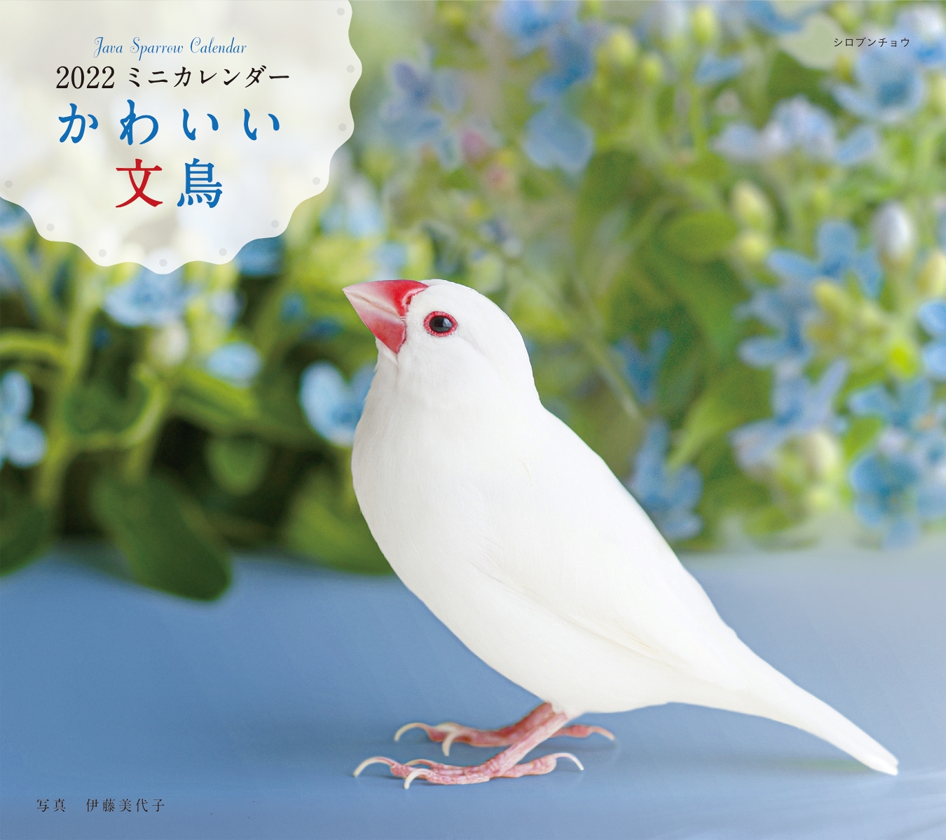 楽天ブックス 22年 カレンダー かわいい文鳥 100名様に1 000円分の図書カードをプレゼント 伊藤 美代子 本