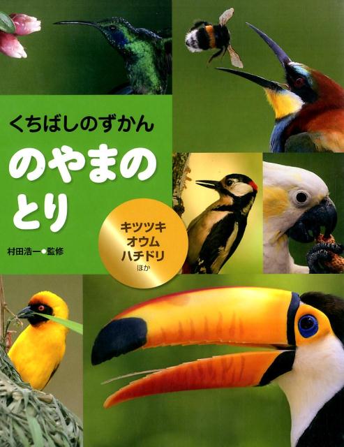 楽天ブックス: のやまのとり - キツツキ・オウム・ハチドリほか - 村田