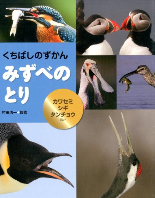 楽天ブックス: みずべのとり - カワセミ・シギ・タンチョウほか - 村田