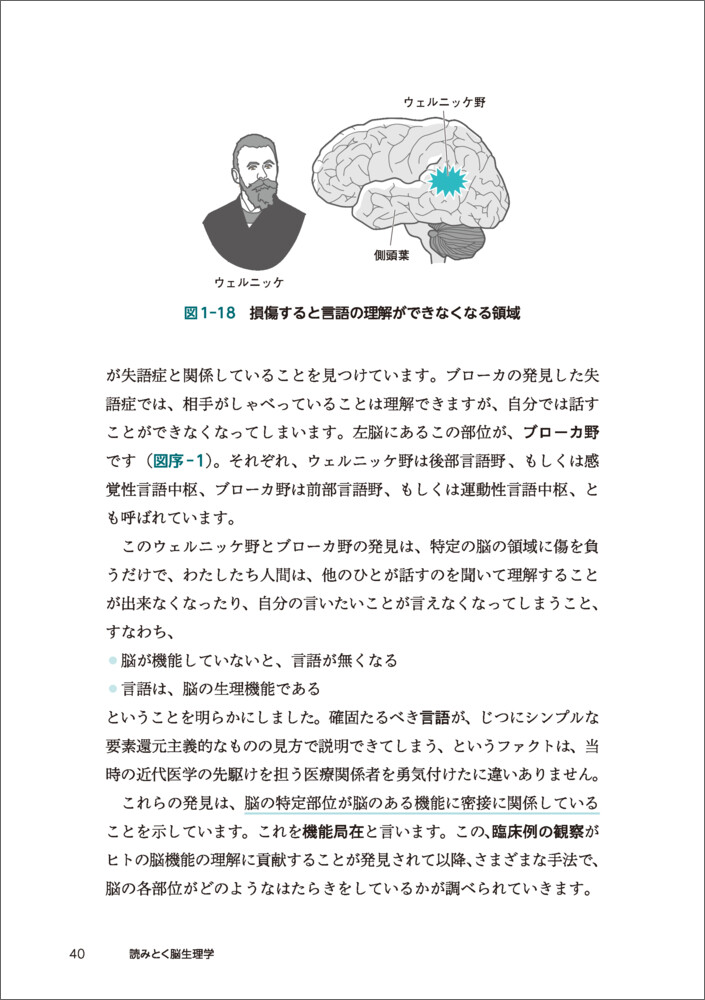 �ɤߤȤ�Ǿ������[�������]