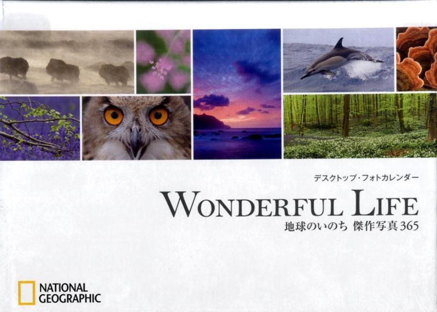 楽天ブックス: デスクトップ・フォトカレンダーWONDERFUL LIFE