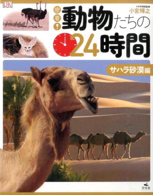 楽天ブックス 密着 動物たちの24時間 サハラ砂漠編 エリザベス ホールデン 本