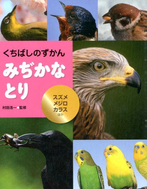 楽天ブックス: みぢかなとり - スズメ・メジロ・カラスほか - 村田浩一