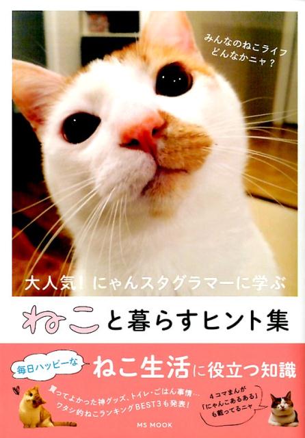 楽天ブックス ねこと暮らすヒント集 大人気 にゃんスタグラマーに学ぶ 本