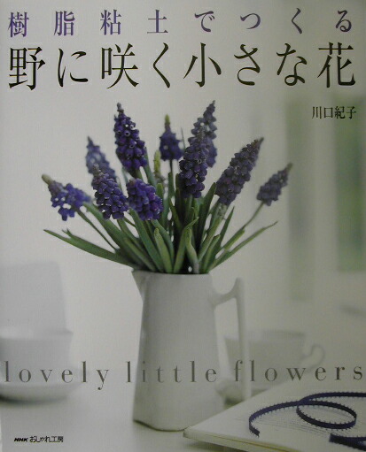 楽天ブックス: 樹脂粘土でつくる野に咲く小さな花 - 川口紀子 - 9784140311158 : 本