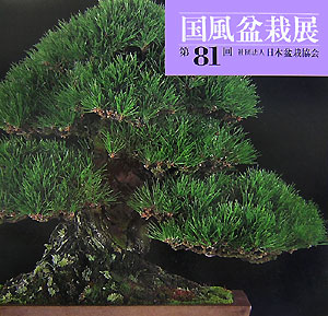 楽天ブックス: 国風盆栽展（第81回） - 日本盆栽協会