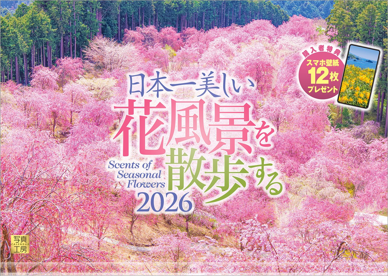 『日本一美しい花風景を散歩する』2026カレンダー壁掛け風景【透明ホルダー付300×420】（写真工房カレンダー）