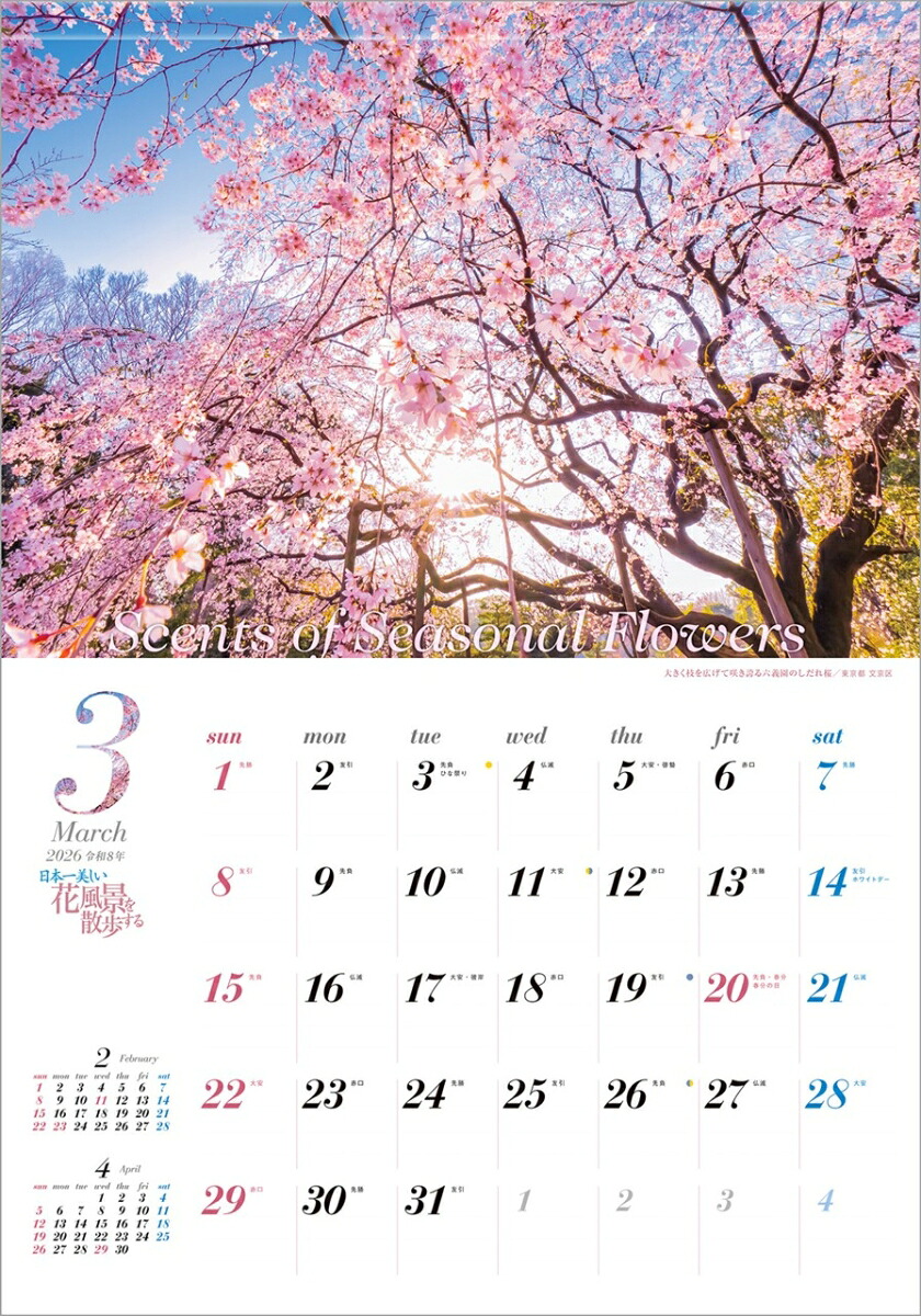 『日本一美しい花風景を散歩する』2026カレンダー壁掛け風景【透明ホルダー付300×420】（写真工房カレンダー）