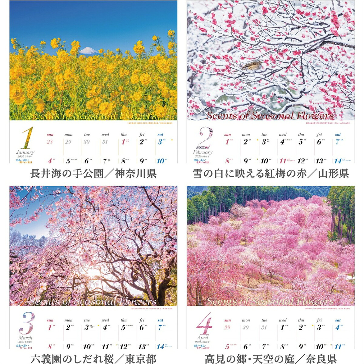『日本一美しい花風景を散歩する』2026カレンダー壁掛け風景【透明ホルダー付300×420】（写真工房カレンダー）
