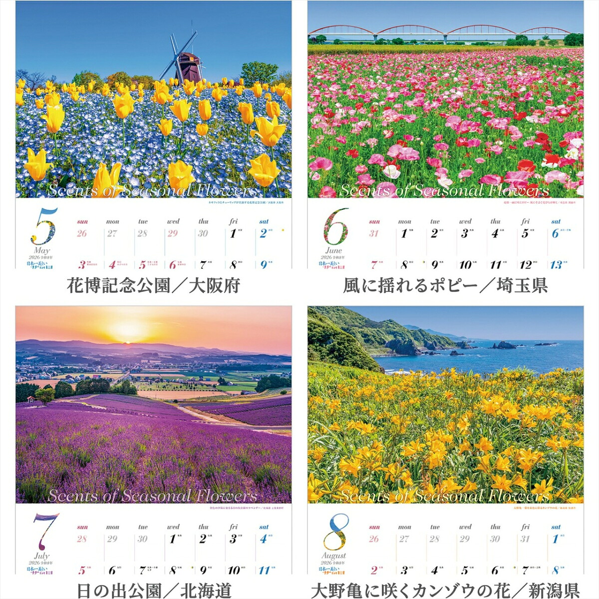 『日本一美しい花風景を散歩する』2026カレンダー壁掛け風景【透明ホルダー付300×420】（写真工房カレンダー）