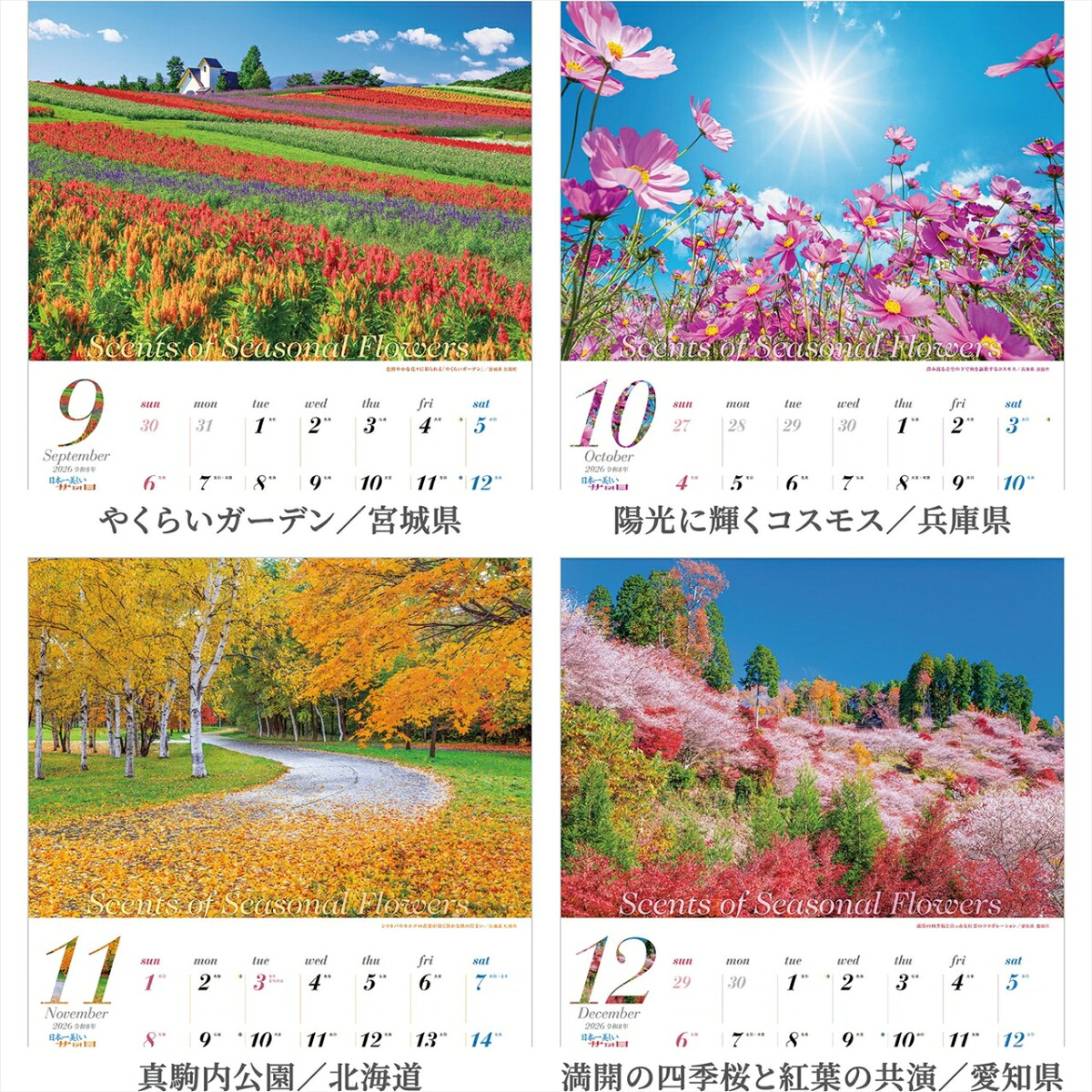 『日本一美しい花風景を散歩する』2026カレンダー壁掛け風景【透明ホルダー付300×420】（写真工房カレンダー）