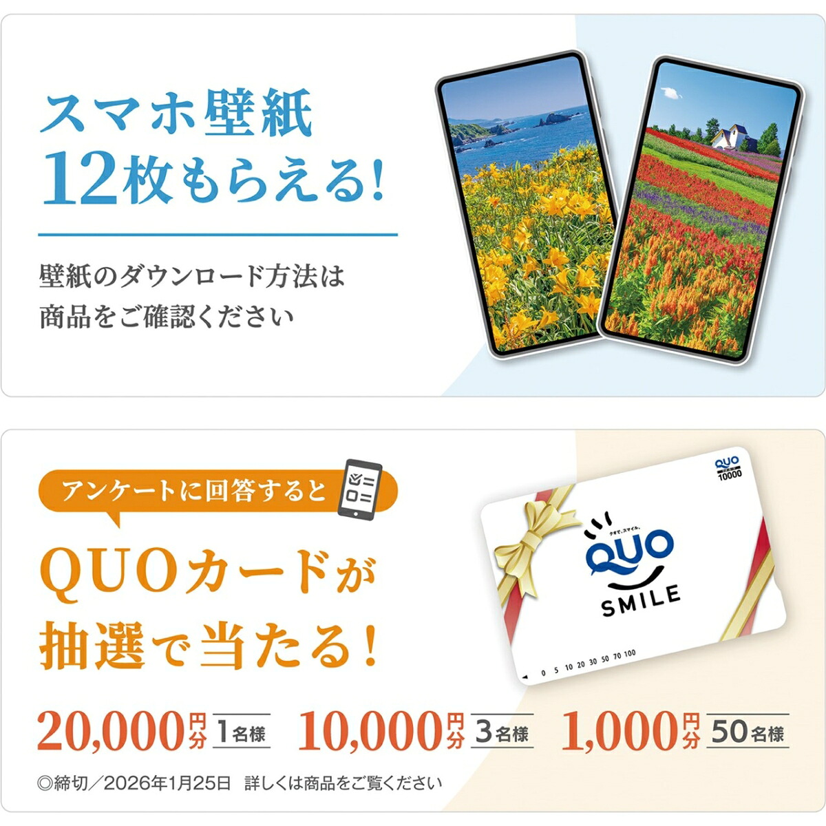 『日本一美しい花風景を散歩する』2026カレンダー壁掛け風景【透明ホルダー付300×420】（写真工房カレンダー）