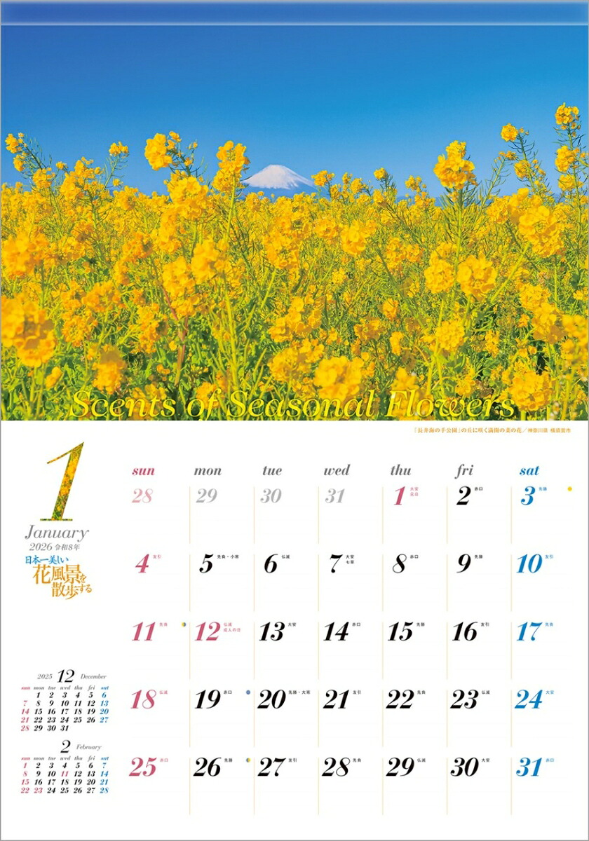 『日本一美しい花風景を散歩する』2026カレンダー壁掛け風景【透明ホルダー付300×420】（写真工房カレンダー）