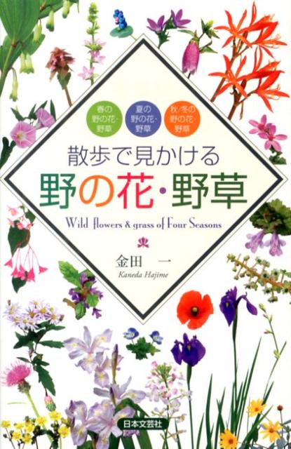 楽天ブックス 散歩で見かける野の花 野草 春の野の花 野草 夏の野の花 野草 秋 冬の野の花 金田一 本