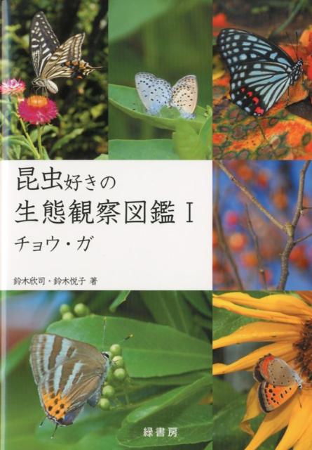 鈴木悦子  コスモス 鈴木悦子 コスモス
