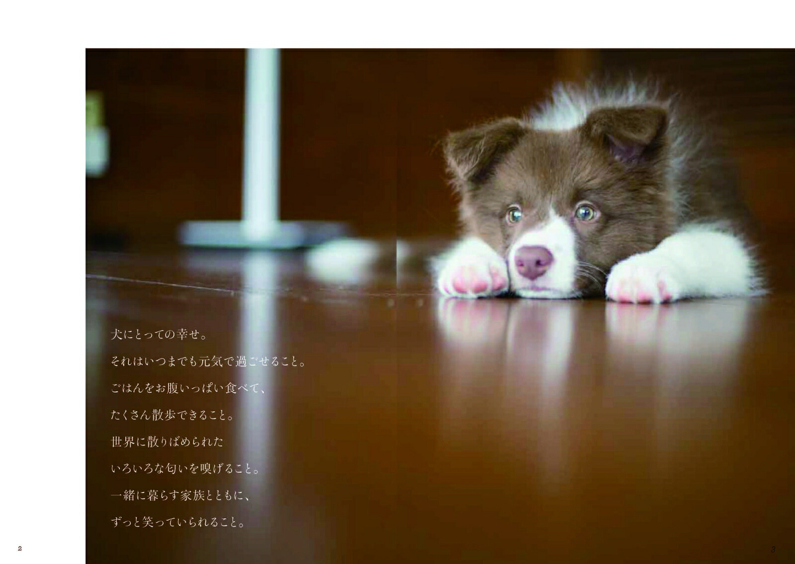 犬のいる暮らし一生パートナーでいるために知っておきたいこと[丸田香緒里]