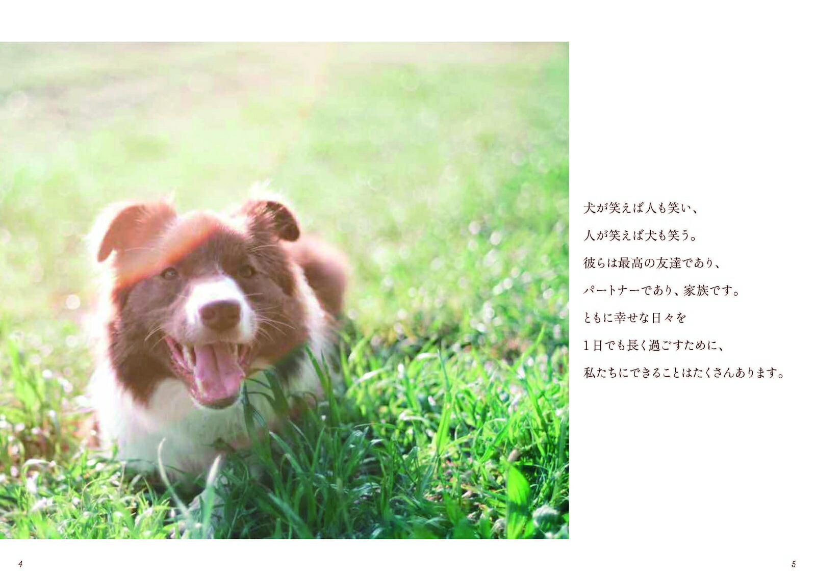 犬のいる暮らし一生パートナーでいるために知っておきたいこと[丸田香緒里]