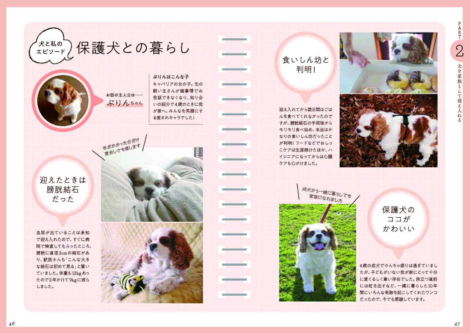 犬のいる暮らし一生パートナーでいるために知っておきたいこと[丸田香緒里]