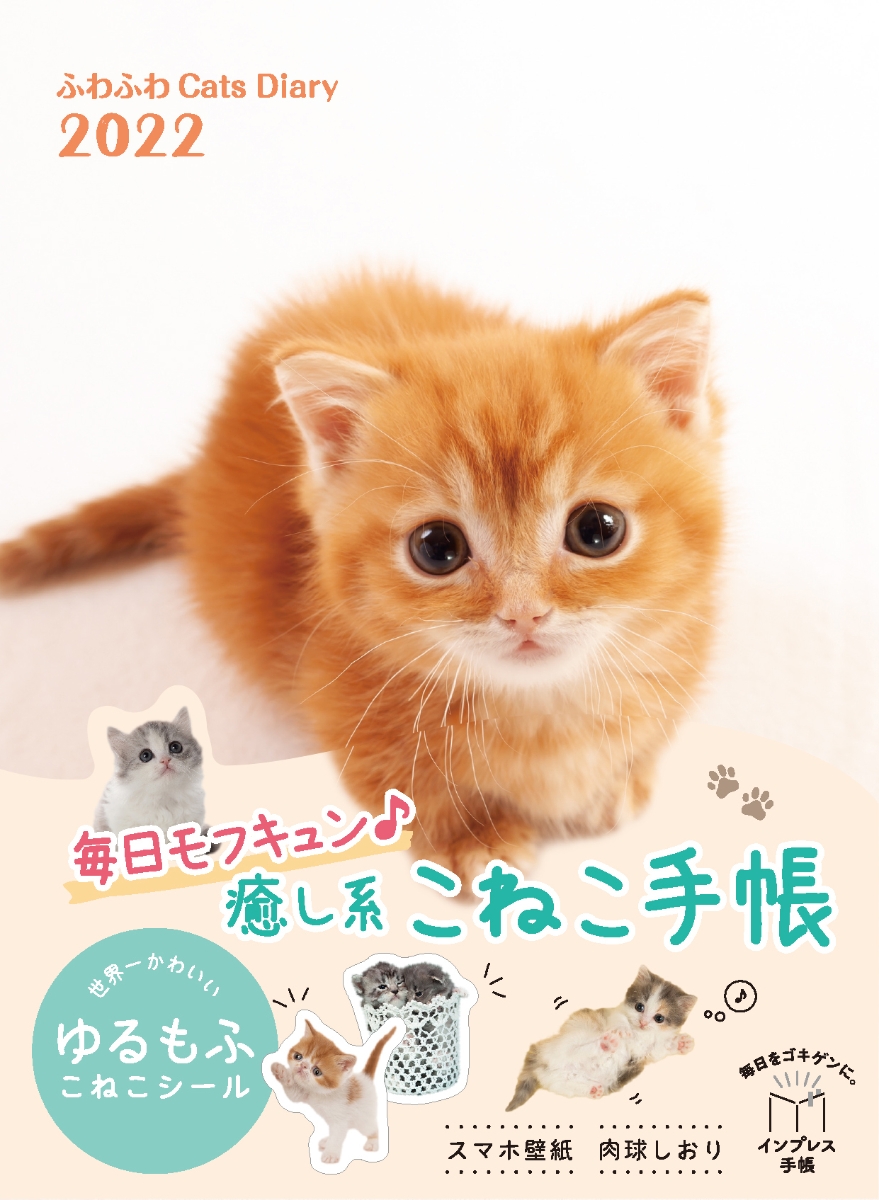 楽天ブックス 楽天ブックス限定特典 ふわふわcats Diary 22 特典データ ふわふわなこにゃんこのパソコン壁紙 石橋 絵 本