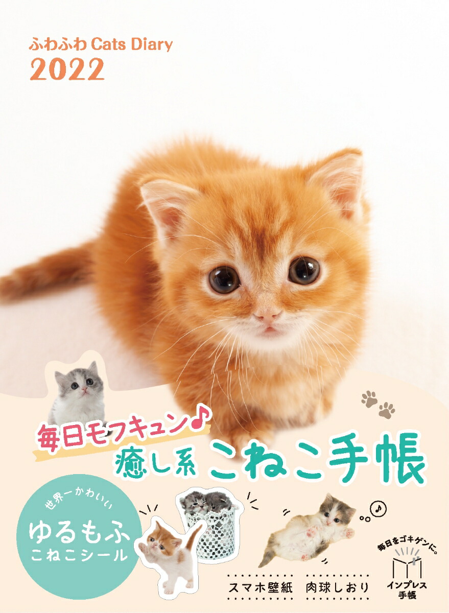 楽天ブックス ふわふわcats Diary 22 石橋 絵 本