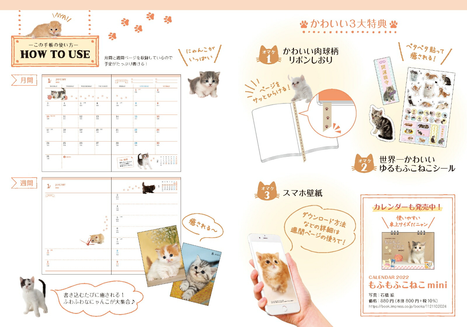 楽天ブックス 楽天ブックス限定特典 ふわふわcats Diary 22 特典データ ふわふわなこにゃんこのパソコン壁紙 石橋 絵 本