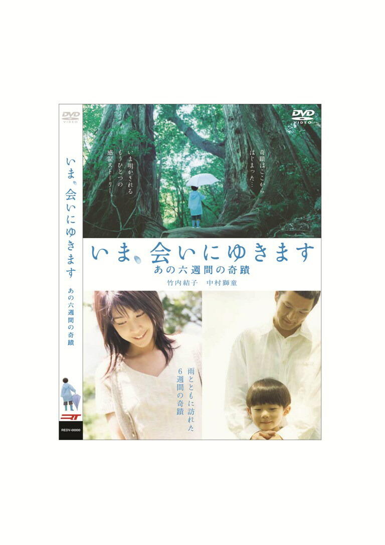 ます に 今 会い 行き