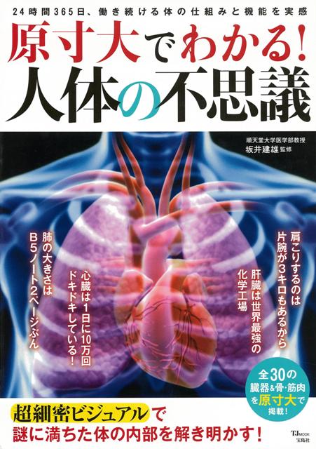 楽天ブックス バーゲン本 原寸大でわかる 人体の不思議 坂井 建雄 4528189651449 本