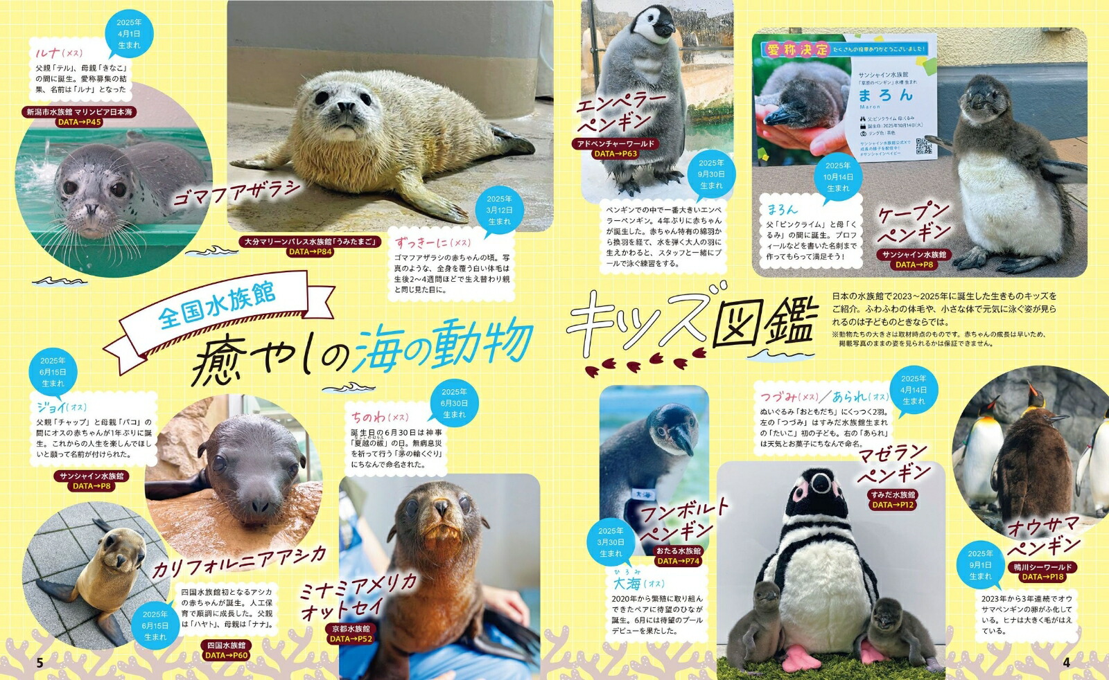 るるぶ水族館ベストセレクト（JTBのムック）[JTBパブリッシング旅行ガイドブック編集部]