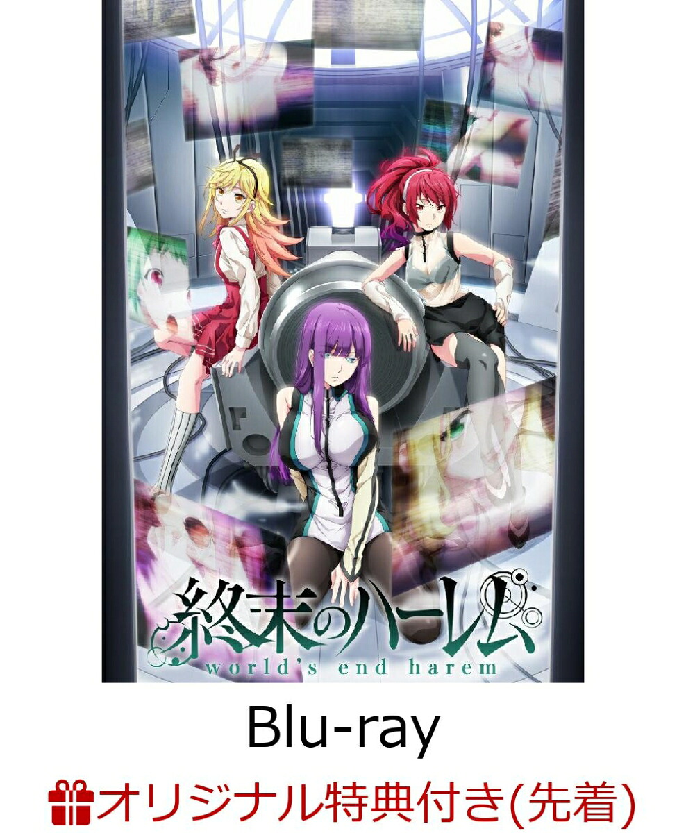 楽天ブックス 楽天ブックス限定先着特典 終末のハーレム 第4巻 初回限定版 Blu Ray アニメ場面写 2l判ブロマイド4枚セット Link Dvd