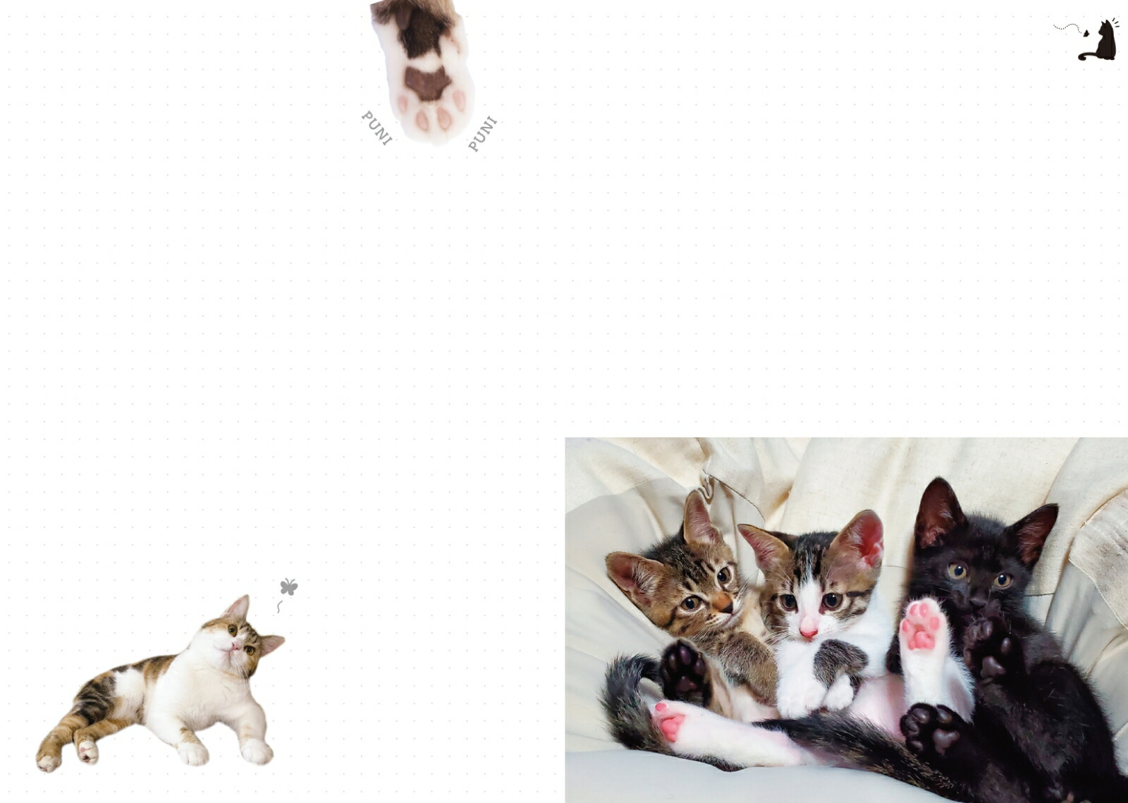 楽天ブックス 楽天ブックス限定特典 にゃんこのぷにぷに肉球手帳 22 特典データ にゃんこのスマホ壁紙 フェリシモ猫部 本