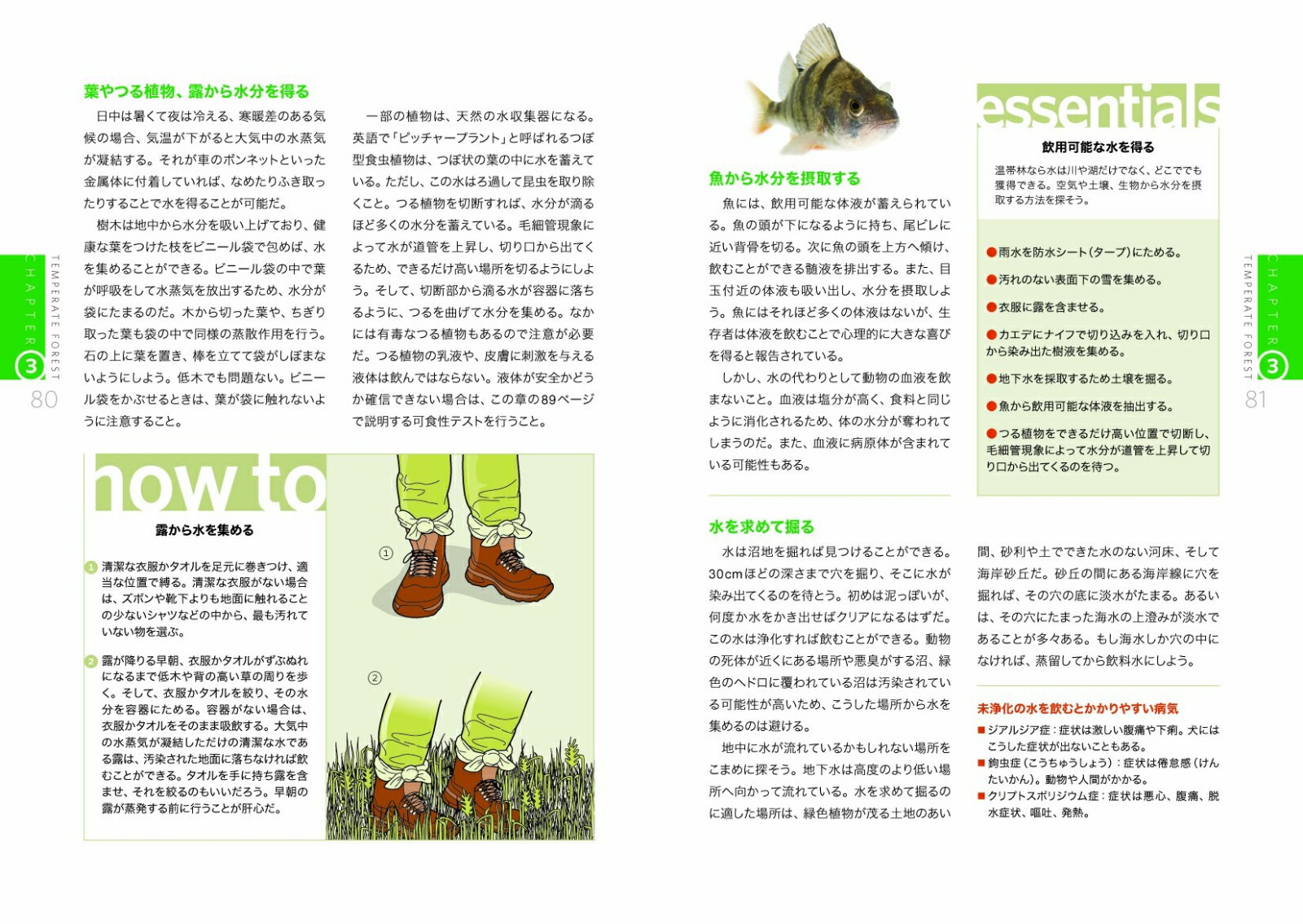 楽天ブックス 世界のどこでも生き残る完全サバイバル術 自分を守る 家族を守る マイケル S スウィーニィ 本