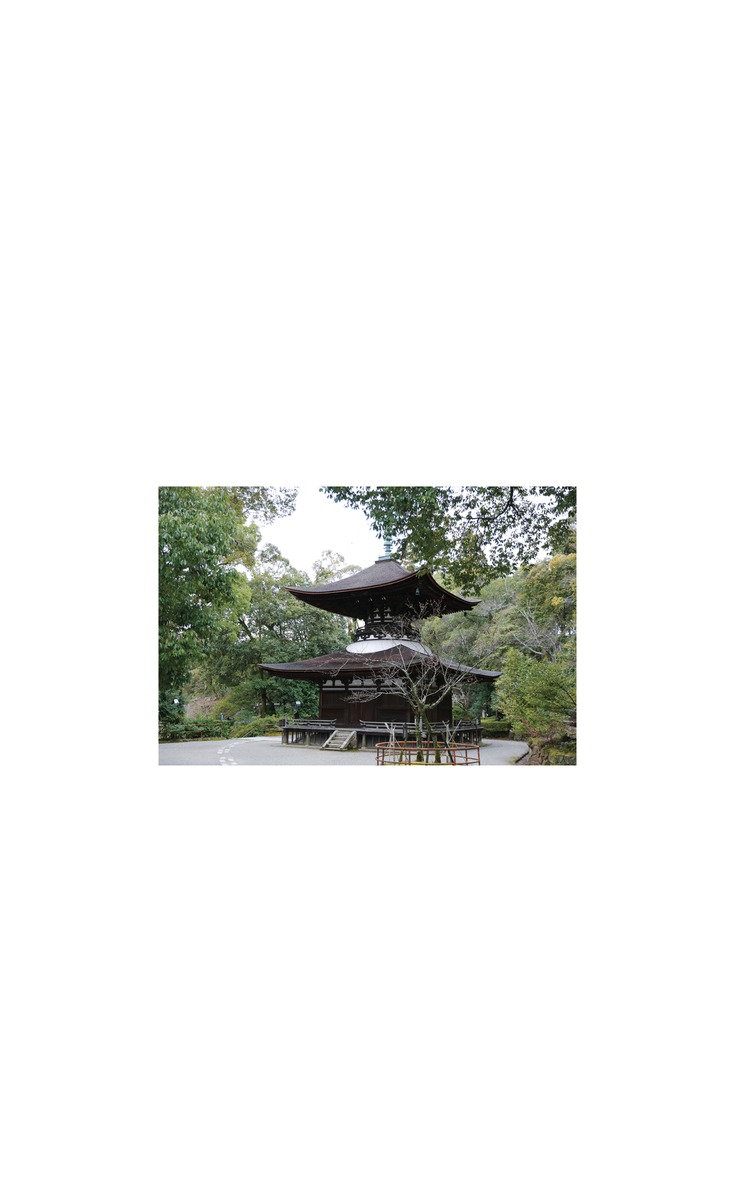 ニッポン巡礼（集英社新書）[アレックス・カー]