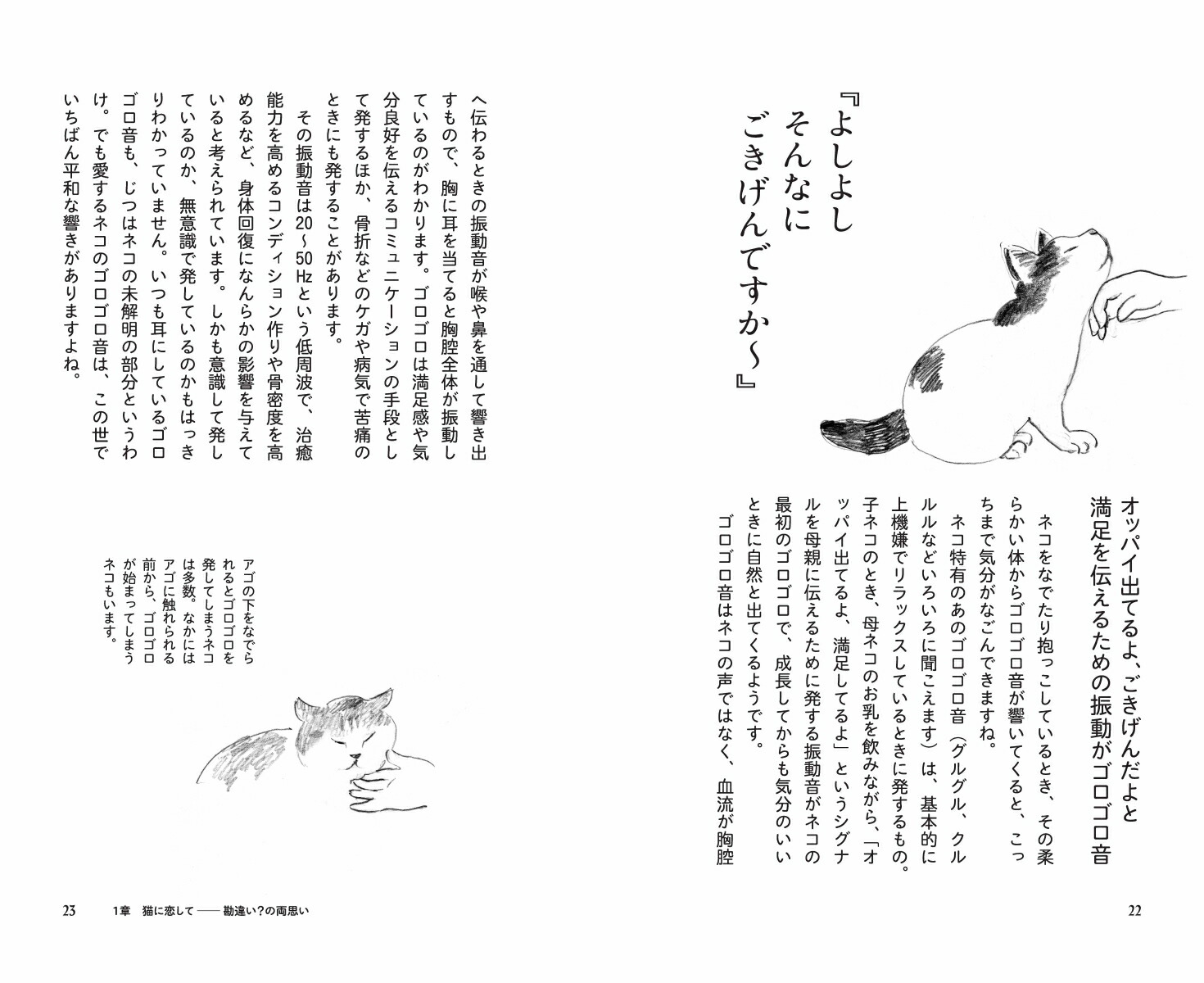 猫に言いたいたくさんのこと親愛なる君にもっと好かれる73の方法[野沢延行]