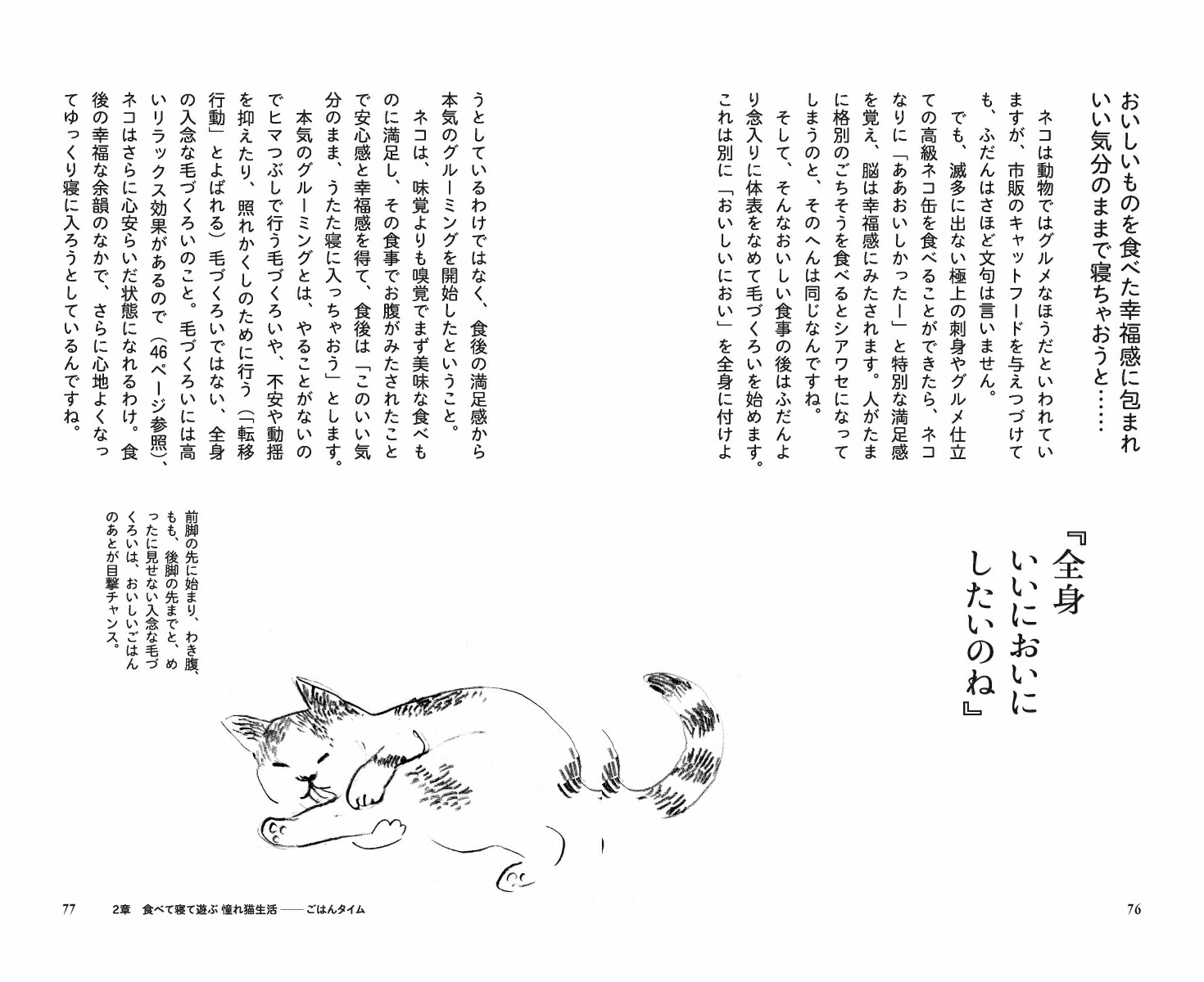 猫に言いたいたくさんのこと親愛なる君にもっと好かれる73の方法[野沢延行]