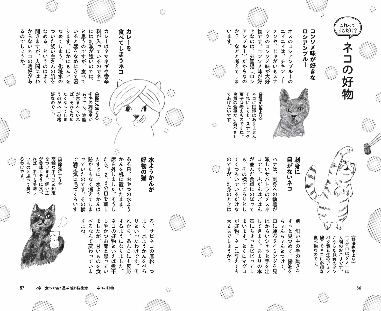 猫に言いたいたくさんのこと親愛なる君にもっと好かれる73の方法[野沢延行]