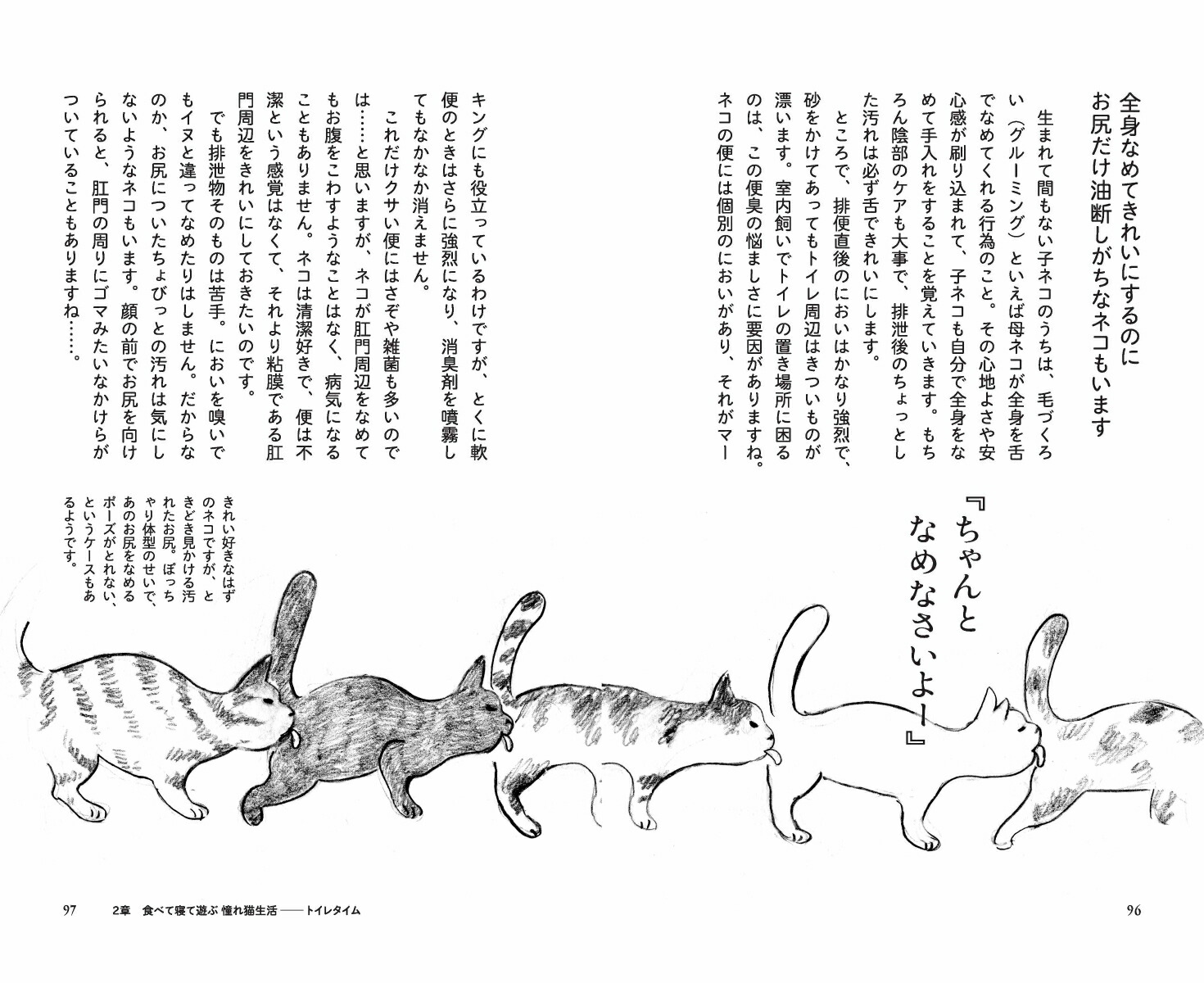 猫に言いたいたくさんのこと親愛なる君にもっと好かれる73の方法[野沢延行]