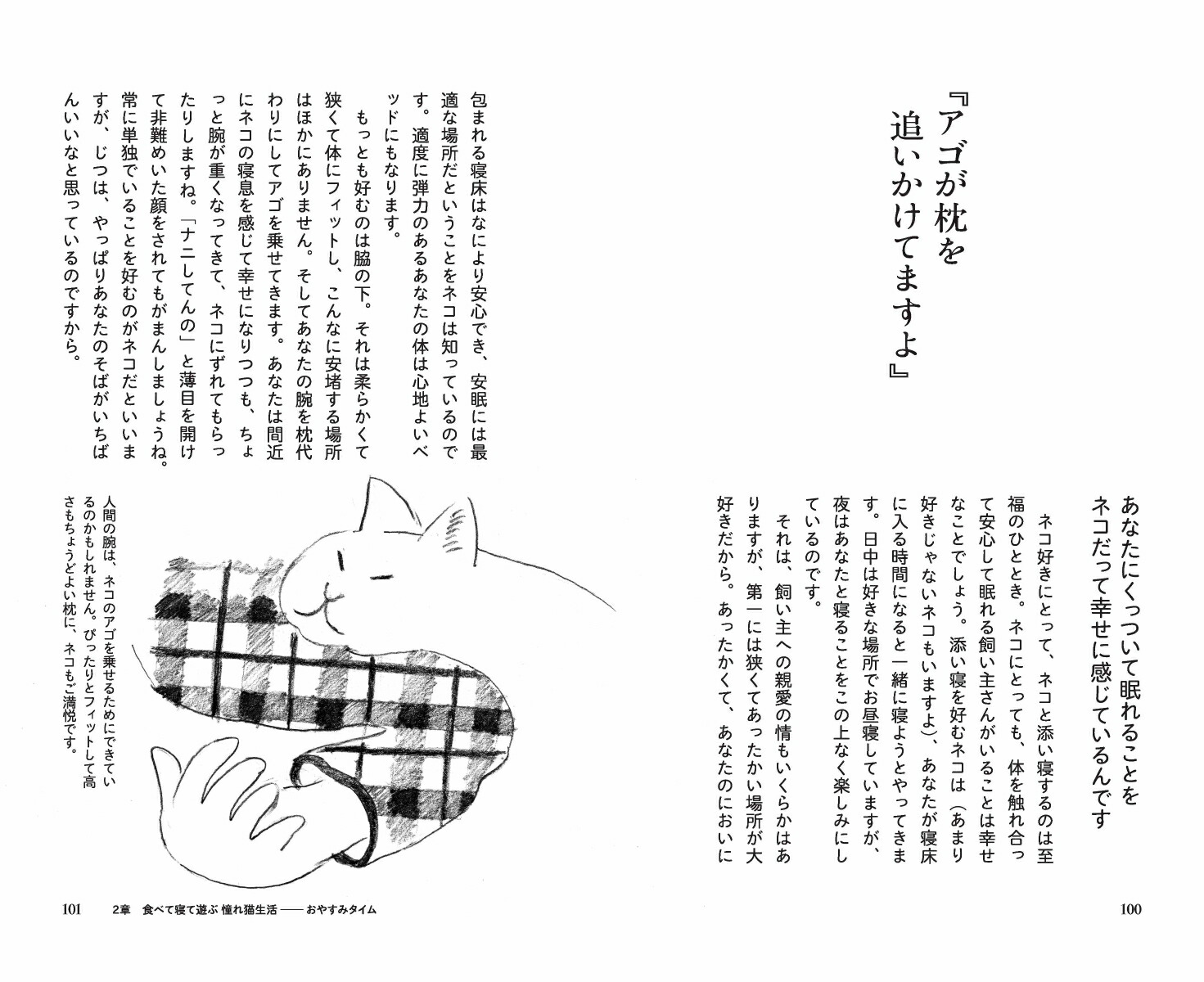 猫に言いたいたくさんのこと親愛なる君にもっと好かれる73の方法[野沢延行]