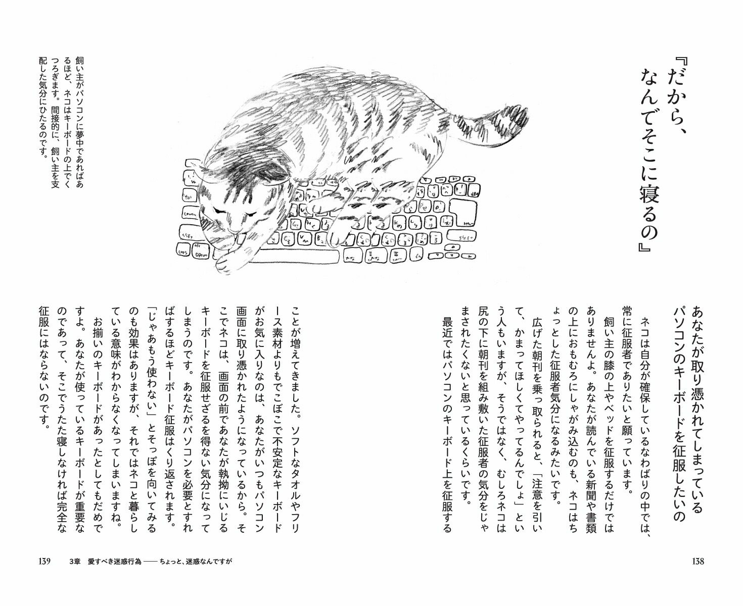猫に言いたいたくさんのこと親愛なる君にもっと好かれる73の方法[野沢延行]