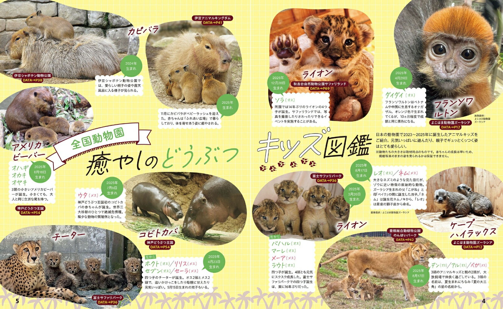 るるぶ動物園ベストセレクト（JTBのムック）[JTBパブリッシング旅行ガイドブック編集部]