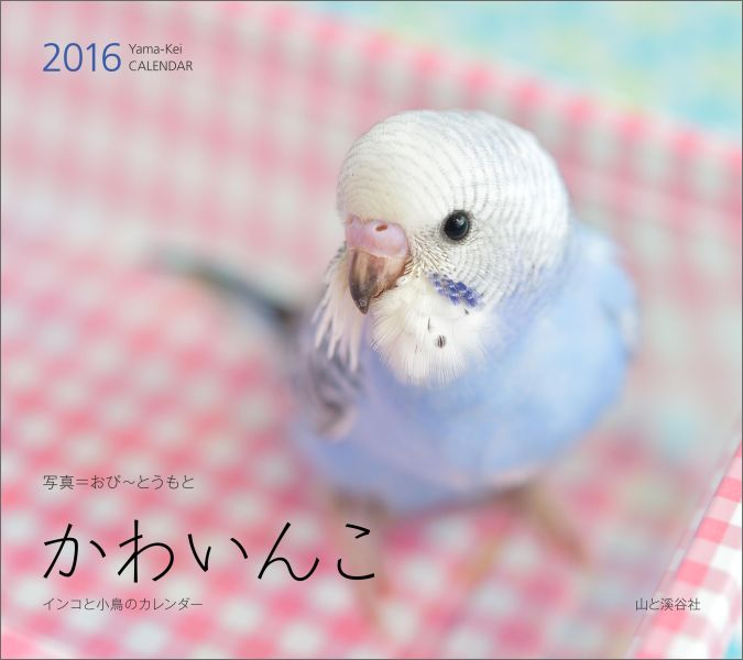 楽天ブックス かわいんこカレンダー 16 本