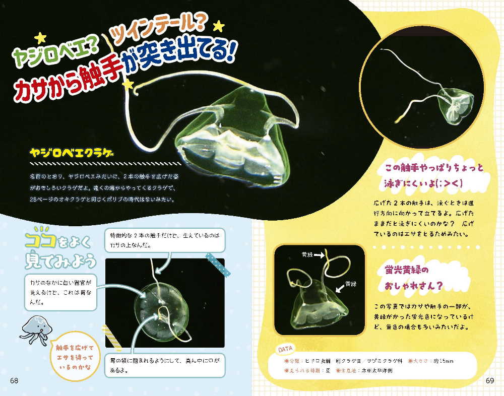 楽天ブックス 謎だらけ 超クラゲ図鑑 月刊アクアライフ編集部 本