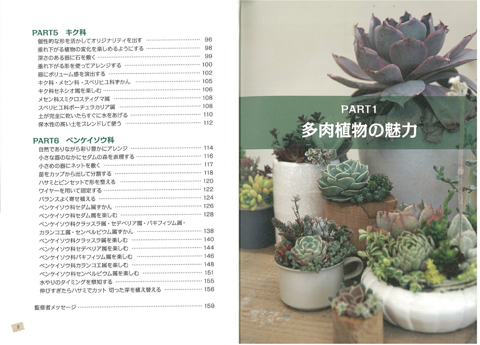 楽天ブックス アレンジが広がる 多肉植物ずかん 種類別にわかる育て方 飾り方 新版 Tokiiro 本