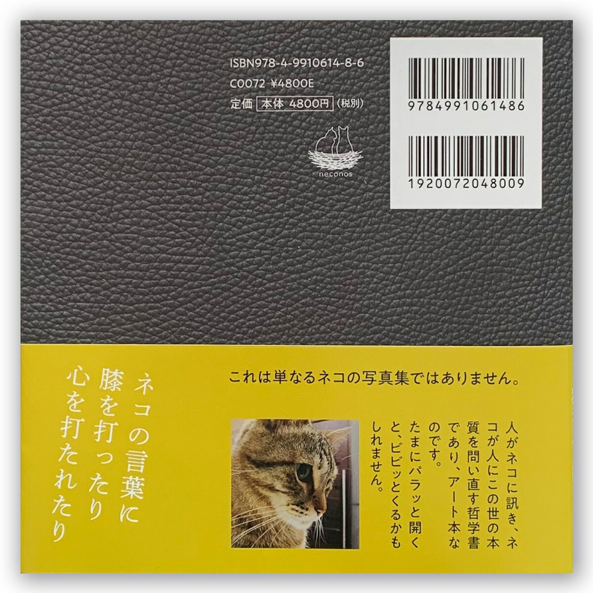 What'sonYourMind��Tora-Chan?�Ҥ����Ϥʤ˹ͤ��Ƥ�Ρ��ʥͥ��Υ���[�Ҽ�Ϻ]